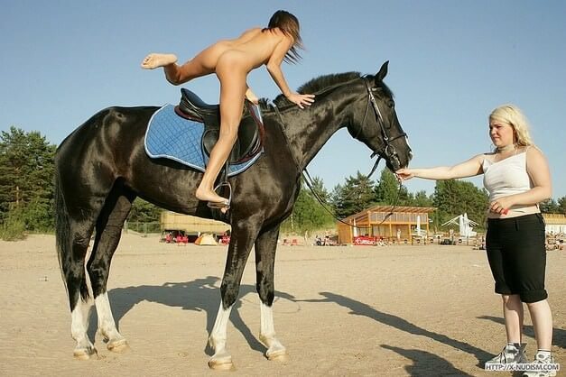 [NWoDL] Ride on horseback