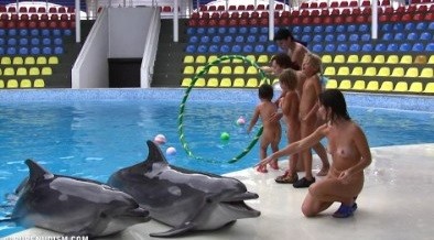 [NWoDL] Dolphin Day Delights 1