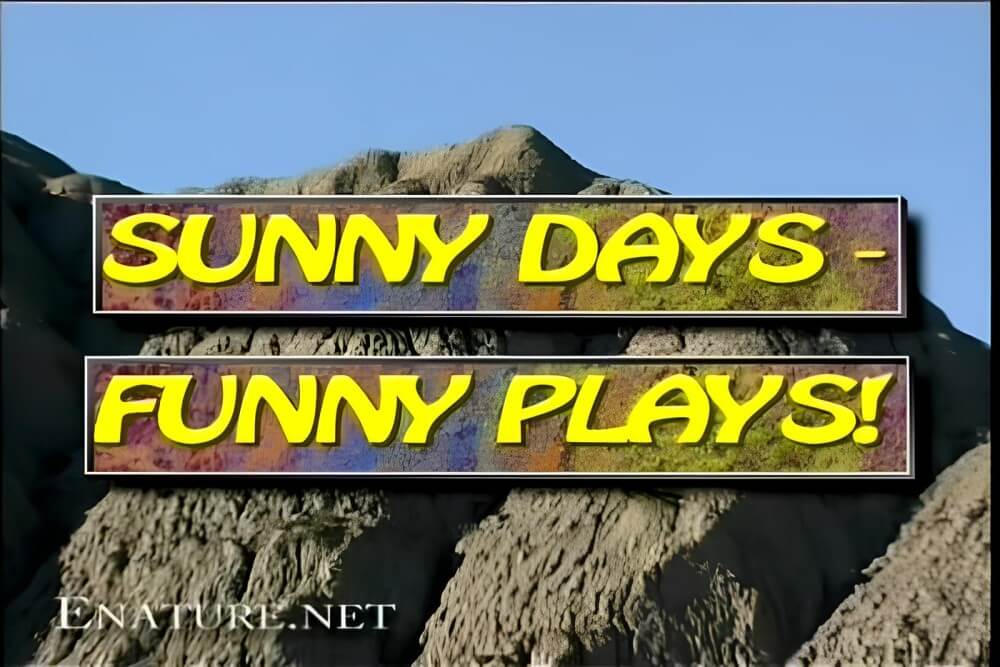 [NWoDL] Enature - Sunny Days – Funny Plays