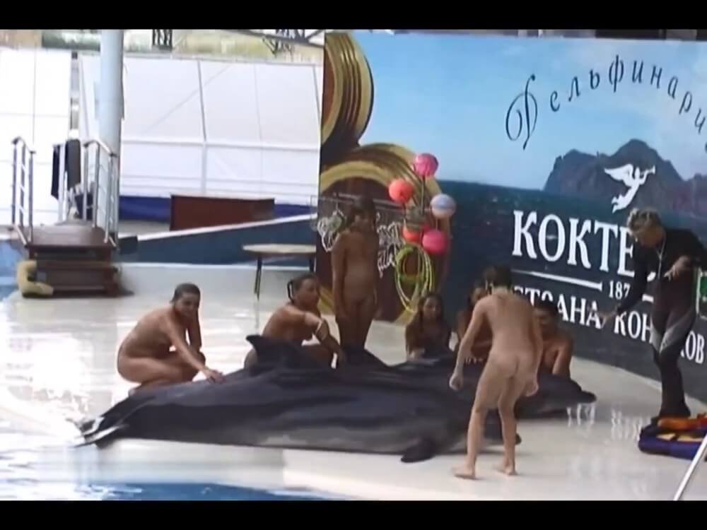 [NWoDL] Relaxing at the dolphinarium