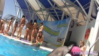 [NWoDL] Amazing Dolphin Encounter HD video